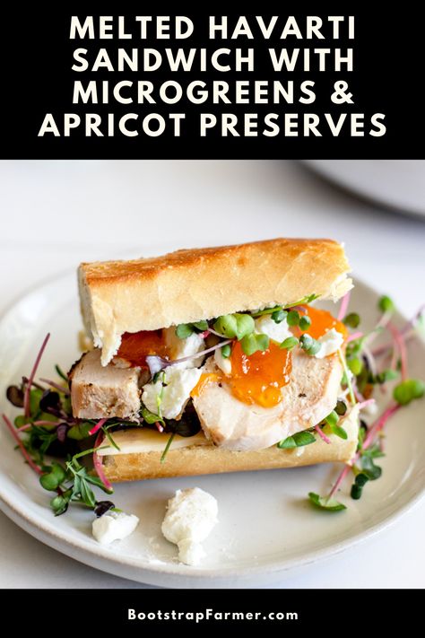 Havarti Sandwich, The Perfect Sandwich, Apricot Preserves, Perfect Sandwich, Havarti Cheese, Open Faced Sandwich, Growing Microgreens, Sandwich Ingredients, Havarti