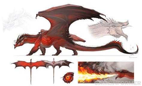 D&D (2024) - What do people think of the new dragon designs? | EN World Tabletop RPG News & Reviews Fantasy Dragons, Dragon Rouge, Dungeons And Dragons Art, Dnd Dragons, Dragon Sketch, Creature Artwork, New Dragon, Fantasy Beasts, Dragon Rider