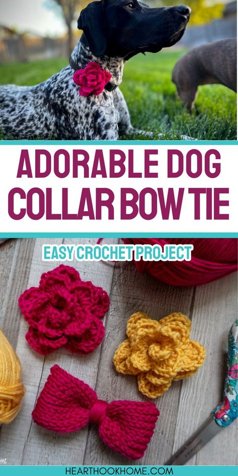 Enhance your dog's collar with these free crochet patterns for a bow tie and flower. Perfect for adding a touch of charm! Make A Bow Tie, Dog Collar Pattern, Dog Bandana Pattern, Crochet Collar Pattern, Bowtie Pattern, Make A Bow, Crochet Dog Patterns, Crochet Dog Sweater, Dog Collar Bows