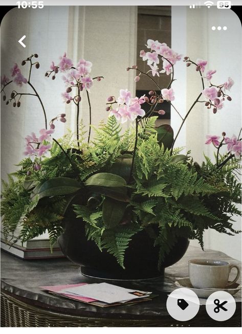 Orchid Flower Arrangements, Deco Nature, Container Gardening Flowers, Orchid Arrangements, Flower Arrangements Diy, Garden Containers, Deco Floral, Container Flowers, Orchid Flower