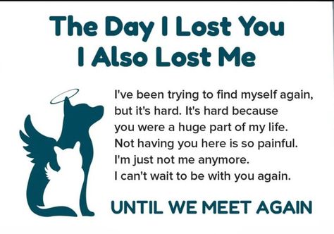 Losing A Dog Quotes, Losing A Pet Quotes, Loss Of A Dog, Dog Heaven Quotes, Miss My Dog, Dog Poems, Dog Quotes Love, Sympathy Quotes, Dog Remembrance