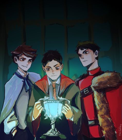 The Triwizard Tournament, Triwizard Tournament, Daichi Sawamura, Ushijima Wakatoshi, Harry Potter Houses, Volleyball Anime, Haikyuu Wallpaper, Haikyuu Funny, Viria