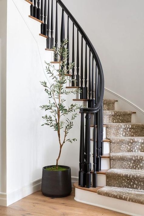 White risers complement stained wood treads covered in a gray antelope staircase runner while a plack handrail is finished with black spindles. Curved Staircase Foyer, Staircase Spindles, Handrail Lighting, Black Staircase, White Staircase, Stair Spindles, Wrought Iron Staircase, Staircase Runner, Traditional Staircase