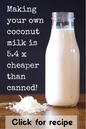 Save money by making your own coconut milk Homemade Coconut Milk, Coconut Milk Recipes, Coconut Recipes, Nut Milk, Milk Recipes, Shredded Coconut, Coconut Flour, Diy Food, Paleo Recipes