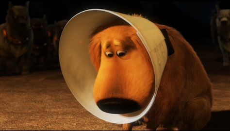 6 Alternatives to the Classic ‘Cone of Shame’ Doug From Up, Up Movie Quotes, Up Pixar, Cone Of Shame, Pixar Movies, Disney Stuff, Disney Dream, Great Movies, Disney Love