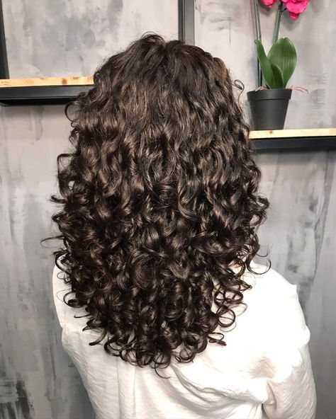 Deva Cut: What is it? How to style it? 30+ Examples of DevaCut Curly Haircuts 2023 Trends, V Shape Curly Haircut, Curly Hair Haircuts Medium, U Shaped Curly Haircut, Deva Haircut Curly, Curly Cut Long Layers, Curly Hair Cuts For Long Hair, U Shaped Haircut Curly Hair, Diva Haircut Curly