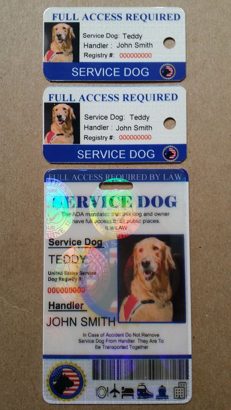 Amazon.com : Holographic Service Dog ID + 2 Key Tags : Pet Supplies National Id Card, Psychiatric Service Dog, Service Dog Patches, Service Dogs Gear, Service Dog Training, Service Dog Vests, Emotional Support Dog, Dog Patch, Support Dog