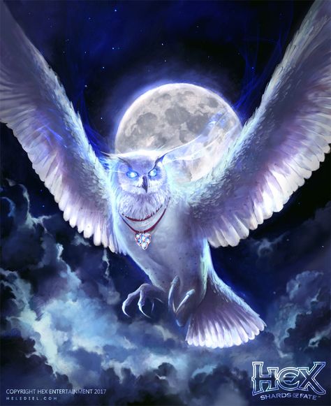 Magical Owl, Owl Artwork, Mystical Animals, Elves Fantasy, Owl Wallpaper, Gothic Fantasy Art, Fantasy Art Dolls, Final Fantasy Art, Fantasy Beasts