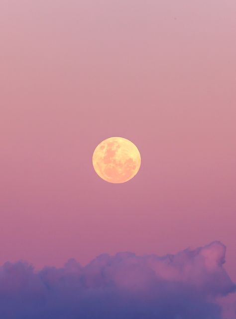 Full Moon In Aquarius, Chiron In Aries, Psychic Empath, Sturgeon Moon, Moon In Aquarius, Full Moon Rising, Capricorn Moon, Ultimate Warrior, Tarot Astrology