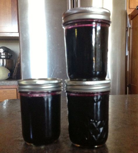 Grape Jelly No Pectin, Low Sugar Grape Jelly Recipe, Grape Jelly Recipe No Pectin, Wild Grape Jelly Recipe, Concord Grape Recipes, Grape Jelly Recipe, Grape Jam Recipe, Muscadine Jelly, Homemade Grape Jelly