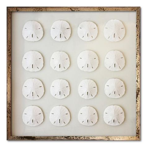 Keyhole Sand Dollars – WJC Design + Ambler Art Group Sand Dollar Art, Whale Wall Art, Frames Sizes, Cottages And Bungalows, Sand Dollars, Sea Shell Decor, Nautical Wall Art, Nautical Wall, Coastal Beaches