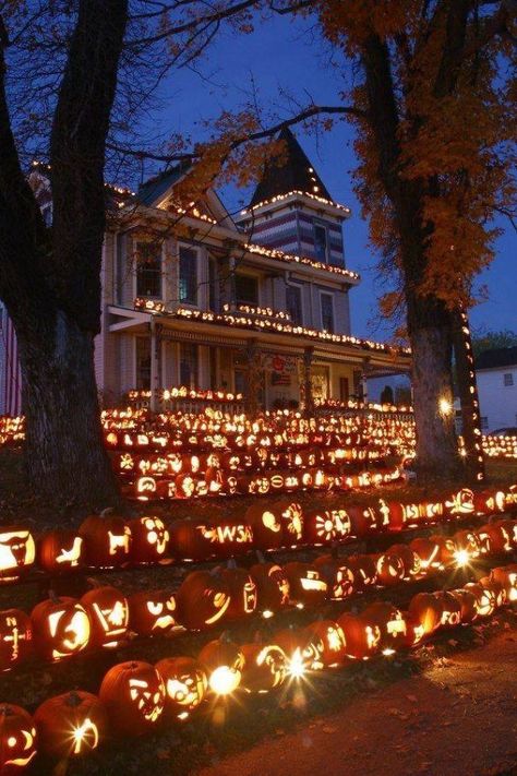 The Pumpkin House In Kenova, West Virginia Halloween Fest, Casa Halloween, Pumpkin House, Fall Things, Halloween Tattoo, Halloween Outdoor, Have Inspiration, Outdoor Decorations, Halloween Inspiration