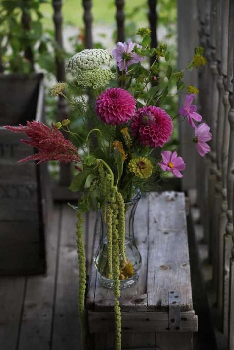 Amaranth Flower, Amaranth, Cottage Garden, Flowers Bouquet, Planting Flowers, Flower Arrangements, Wedding Flowers, Flowers, Plants