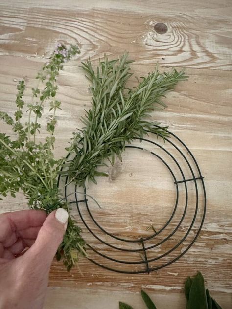 Do you grow herbs in your garden? Even if you don't have an herb garden, perhaps you have a friend or neighbor that would love to share some with you, so I want to show you how to create a simple wreath with fresh herbs. This project only takes a few supplies and is so easy to make. This wreath will be a great addition to your spring and summer decor and will dry beautifully and take you right into the fall months. A living herb wreath is such a beautiful way to bring nature inside. Rosemary Wreath Diy, Herb Garden Gift, Herb Uses, Relaxing Things To Do, Macrame Wreath, Herb Wreath, Fresh Christmas Wreath, Small Herb Gardens, Simple Wreath