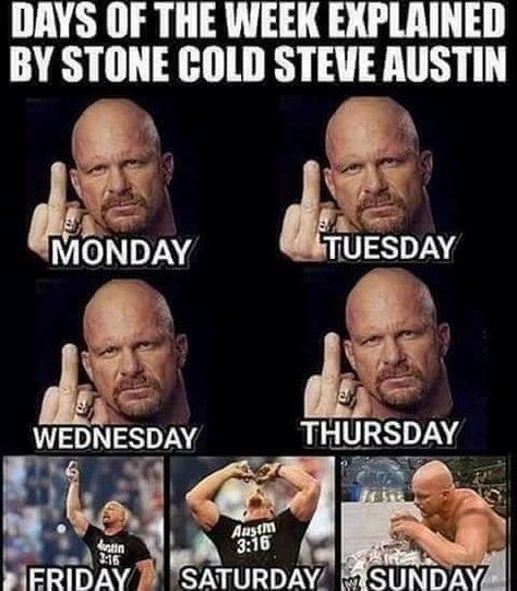 Austin 3:16, Wwe Funny Pictures, Wwe Quotes, Quotes Funny Humor, Party Quotes Funny, Wrestling Memes, Wwe Funny, Party Quotes, Stone Cold Steve Austin