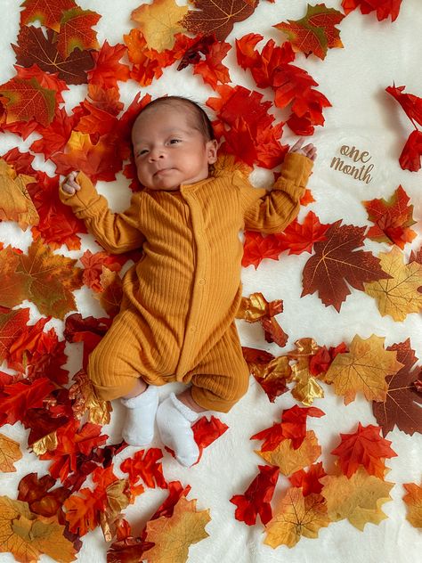 Infant Fall Photoshoot At Home, Diy Newborn Thanksgiving Pictures, 4 Month Old Baby Photoshoot Fall, 1 Month Old Baby Pictures Thanksgiving, November Infant Photoshoot, October One Month Picture, 2 Month Old Fall Photo Shoot, September Newborn Photoshoot, Diy Pumpkin Photo Shoot Baby