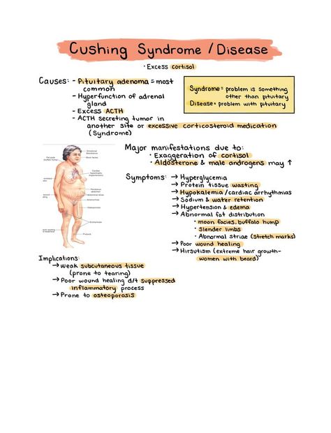 Cushing Syndrome, Pathophysiology Nursing, Medical Assistant Student, Pediatric Medicine, Cushings Syndrome, Nursing School Essential, Nursing School Motivation, Basic Anatomy And Physiology, Nurse Study Notes