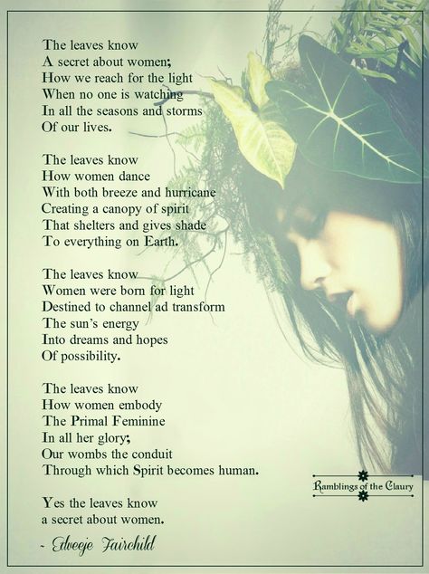 The leaves know  A secret about women; How we reach for the light When no one is watching In all the seasons and storms Of our lives ...#women #leaves #nature #secret #poem #poetry #OneDayIWillFly #InternationalWomensDay Poems By Famous Poets, When No One Is Watching, Seasons Poem, Poems In English, Christian Poems, Women Poetry, Misspelled Words, Meaningful Love Quotes, Poems About Life