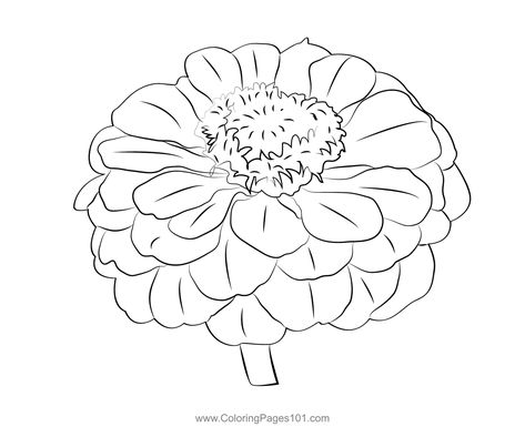 Zinnia Coloring Page Zinnia Flowers Drawing, Zinnia Drawing, Drawing Coloring Pages, Template Craft, Zinnia Flowers, Flowers Drawing, Drawing Challenge, Free Kids, Printable Coloring Pages