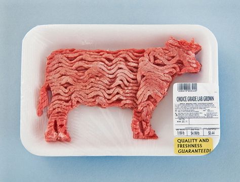 hakmeetstak:    Kevin Van Aelst Nice To Meat You, Meat Art, Cool Packaging, Best Meat, Food Packaging Design, Creative Packaging, Creative Ads, Creative Advertising, Food Packaging