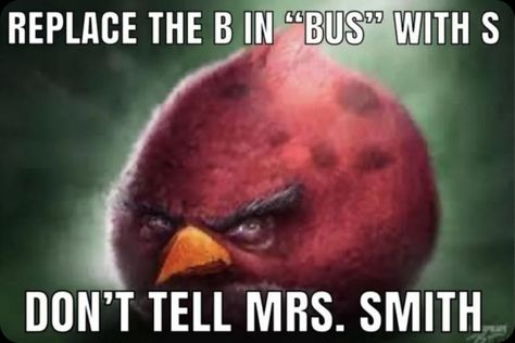 Angry Birds Funny, Birds Funny, Goofy Memes, Bird Meme, Black Dude, Angry Bird, Silly Images, Funny As Hell, Silly Pictures