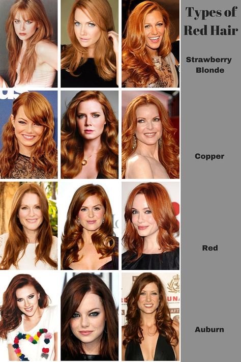 Types of Redheads. You see a lot of colors mislabeled as red hair shades on the internet these days. A warm blonde or a warm light brown is not strawberry blonde. Real strawberry blonde has a light orange cast. Real red hair does not have a cool tone. Burgundy is not red - that's a man-made color. Warm dark brown is not auburn (though you'll see lots of women trying to claim that it is.) To qualify as red, you have to have more red tones in your hair than any other. Different Types Of Red Hair, Types Of Red Hair, Jahodová Blond, Medium Brunette, Highlights Brunette, Fall Highlights, Light Strawberry Blonde, Hair Color For Fair Skin, Types Of Red