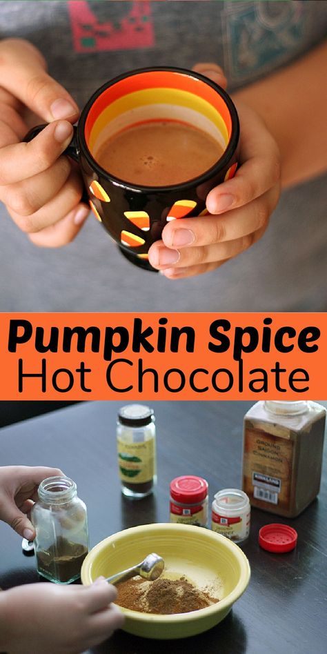 Homemade Pumpkin Spice Hot Chocolate, Pumpkin Spice Cocoa Mix Recipe, Diy Pumpkin Spice Hot Chocolate, Spiced Hot Cocoa Recipe, Pumpkin Spice Hot Cocoa Mix Recipe, Pumpkin Spice Hot Chocolate Recipe, Pumpkin Spice Cocoa, Pumpkin Hot Chocolate Recipe, Pumpkin Spice Hot Cocoa