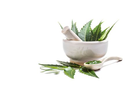 Premium Photo | Medicinal neem leaves in mortar and pestle with neem paste on white surface Medicine Pictures, Product Infographic, Neem Leaves, Mortar And Pestle, Premium Photo, Medicine, Stock Photos, Quick Saves, White