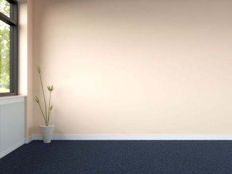 What Color Wall Goes with Blue Carpet? - roomdsign.com