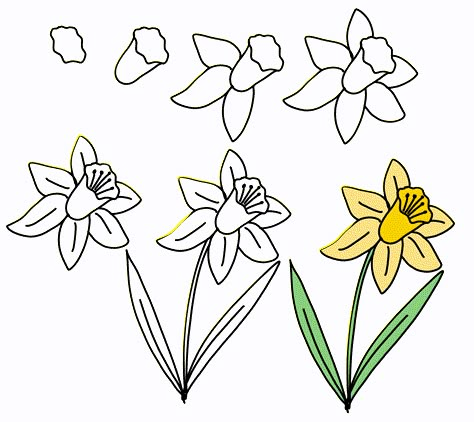 Image contains seven step by step images for how to draw a daffodil, as described in the post. Drawing Spring Flowers, Easy Spring Drawings Simple, Spring Flower Drawing Easy, Spring Drawing Ideas Easy, How To Draw A Narcissus Flower, Simple Spring Drawings, Easy Spring Flowers To Draw, How To Draw Spring Flowers, How To Draw Spring