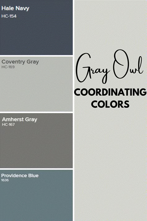 Learn everything you need to know about the fabulous Benjamin Moore Gray Paint Color Gray Owl. I'm talking undertones, complementary colors, and more! #gray #homeideas # paintcolors #interior #neutral Grey Owl Benjamin Moore Bathroom, Grey Owl Color Palette, Gray Owl Color Palette, Gray Owl Bathroom, Colors That Go With Grey, What Color Goes With Gray, Colors That Go With Gray, What Colors Go With Gray, Gray Color Schemes