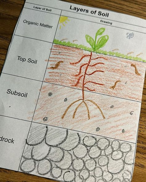 Dirt cups were a HIT today as we wrapped up our rock and soil unit 🪱🌱🪨 We learned about the different layers of soil and the texture/makeup of each one. Then we added a food to our cup that represented that layer of soil. Of course, we had to top with some organic matter. My kids had been looking forward to this for weeks and rated it well above a 10/10 😋 Soil Experiments For Kids, Layers Of Soil Worksheet, Layers Of Soil, Soil Activities, Texture Makeup, Dirt Cups, Division Worksheets, We Rock, Soil Layers