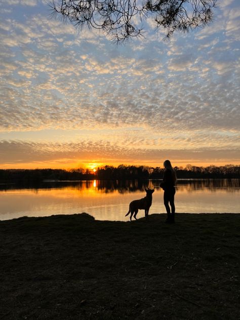 Sunset/ walking / dog Dog Vision Board, Dog Walk Aesthetic, Dog Walking Aesthetic, Expression Board, Walking With Dog, December Inspiration, 2025 Prayer, Sleepover Stuff, Bestie Board