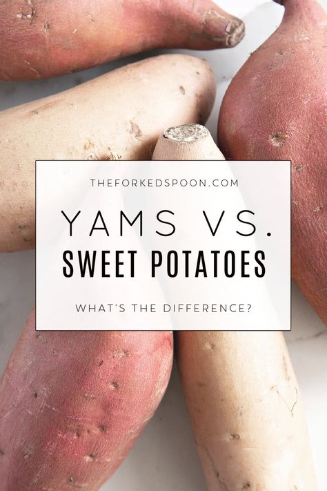 They may both grow underground and appear similar on the surface, but what are the real differences between sweet potatoes and yams? In this post, we will debunk myths, share similarities, and point out the differences between these fall favorites: Sweet Potatoes vs. Yams! Yams Vs Sweet Potatoes, Yams Recipe Healthy, Yam Recipes, Butternut Squash Muffins, Squash Muffins, Potato Pudding, Yam Or Sweet Potato, Healthy Pantry, Yams Recipe