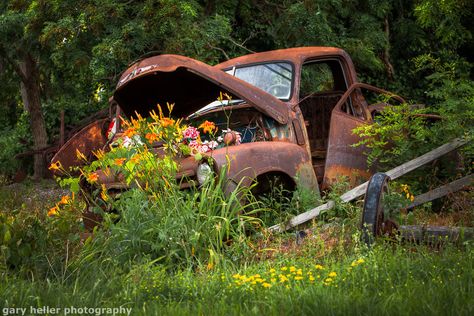 Popular items for rusty truck on Etsy Old Truck Photography, Rustic Landscaping, Vertical Vegetable Garden, Flower Truck, Old Truck, Last Ride, Truck Art, Country Landscaping, Country Scenes