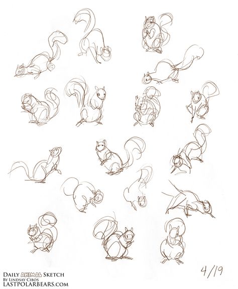 Daily Animal Sketch – Squirrels in Motion – Last of the Polar Bears Squirrel Illustration, Squirrel Art, Nature Sketch, Animal Doodles, Animal Study, Anatomy Drawing, Cartoon Drawing, Animal Sketches, Arte Animal