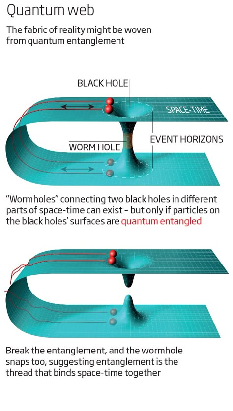 Weird connections through space-time might make reality real, giving us a promising new route to a theory of everything Astronomy Facts, Quantum Entanglement, Theoretical Physics, Cool Science Facts, Space Facts, Physics And Mathematics, Quantum Mechanics, Carl Sagan, Quantum Physics