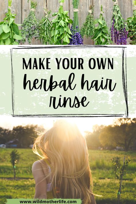 DIY Herbal Hair Rinse - Wild Mother Diy Hair Wash, Hair Rinse Diy, Hair Rinse Recipe, Herbal Hair Rinse, Vinegar Hair Rinse, Herbal Hair Growth, Grey Hair Care, Diy Herbal Remedies, Selfie Filters