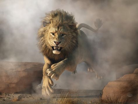 An angry lion charges right at you #lion #art Lion Attack, Lion Kings, Super Tips, Lion Photography, Lion Painting, Lion King Art, Lion Wallpaper, Lion Images, Male Lion