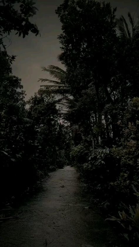 Dark Scenery Aesthetic, Dark Videos Night, Storm Video, Rainy Sky, Dark Landscape, Dark Nature Aesthetic, Night Scenery, Beautiful Views Video, Beautiful Images Nature