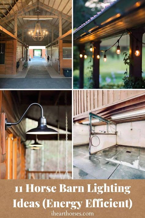 Barn Lighting Interior, Horse Paddock, Barn Lights, Ceiling Mounted Lights, Horse Washing, Barn Ideas, Bay Lights, Horse Barns, Linear Lighting