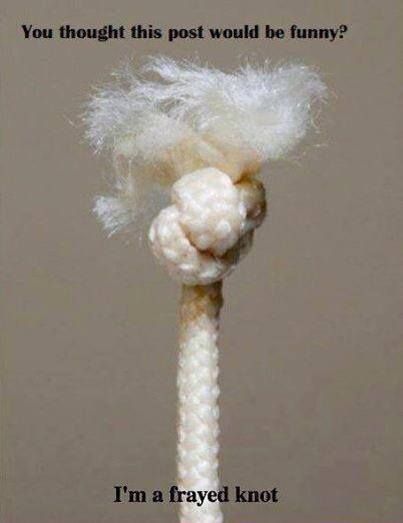 That's knot funny Punny Puns, Love Puns, Corny Jokes, Bad Puns, Puns Jokes, Bad Jokes, Have A Laugh, Funny Puns, Bones Funny