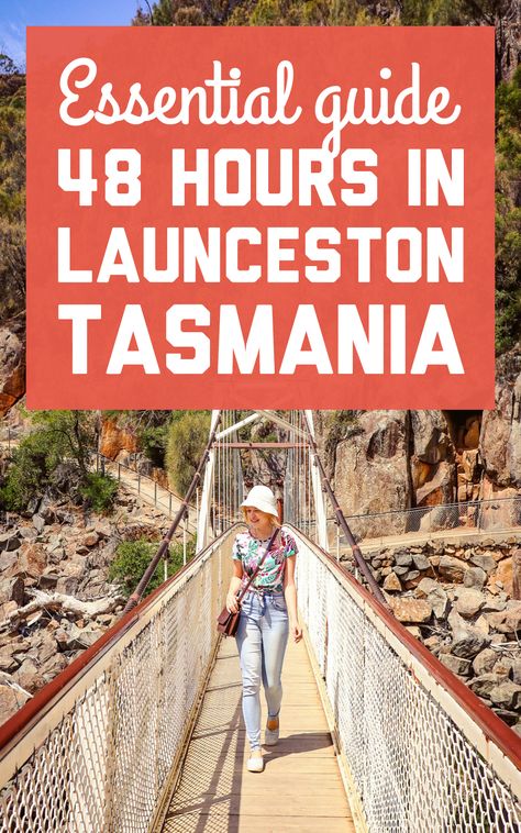 Launceston is a gateway to northern Tasmania's lavender farms, wineries, and national parks. Here's how to spend 48 hours in Launceston and the Tamar Valley! / A Globe Well Travelled Lavender Farms, Tasmania Road Trip, Tasmania Travel, Australian Travel, Best Vacation Spots, A Globe, Camping Area, Travel Plan, Nightlife Travel