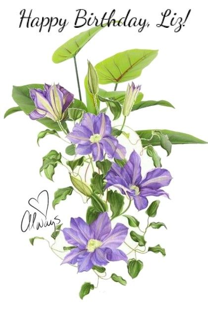 Purple Clematis, Clematis Flower, Illustration Botanique, Png Floral, Cat Air, Watercolor Flowers Paintings, Botanical Watercolor, Botanical Painting, Art Et Illustration