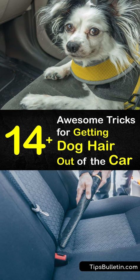 Using common items like duct tape, Velcro curlers, and a pumice stone, find out how to get rid of dog and cat hair in your car. Make pet hair removal easy and fun with our trick involving static electricity and balloons. #dog #hair #car #remove Remove Dog Hair From Car, Arm And Hammer Super Washing Soda, Spring Cleaning Challenge, Dog Hair Removal, Cleaning Painted Walls, Bathroom Cleaning Hacks, Deep Cleaning Tips, Clean Your Car, Pet Hair Removal