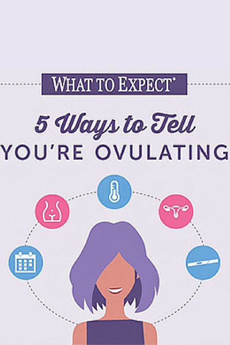 How do I know if I'm ovulating? Listen to your body, check the calendar, watch your cervix. #ovulating #fertility #whattoexpect | whattoexpect.com Fertility Massage, Ovulation Signs, Ovulation Symptoms, Fertility Calendar, Preconception Health, Feminine Wellness, Ovulation Cycle, Getting Pregnant Tips, How To Conceive