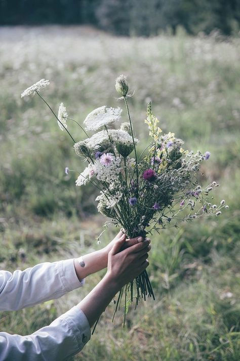 Chocolat Cake, Food Stories, Wildflower Bouquet, Wild Plants, Off Grid, Types Of Flowers, Flower Photos, Love Flowers, Cut Flowers