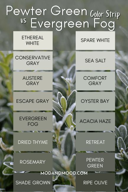 Sherwin Williams Retreat, Sherwin Williams Pewter Green, Windows House, Pewter Green, House Color Palettes, Paint Color Schemes, Earthy Green, Neutral Paint Colors, Green Paint Colors