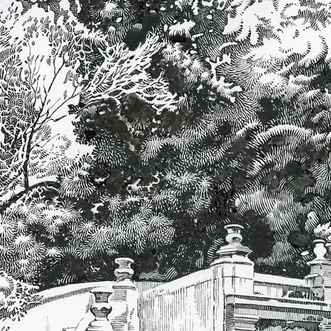 Pen Illustration, Ink Illustration, Dip Pen, A3 Size, Ink Illustrations, Ink Art, Traditional Art, Nature Art, Garden Art