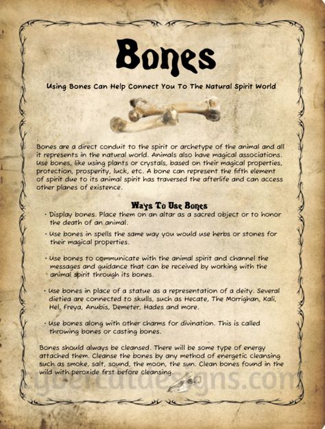 Voodoo Spells Witchcraft, Wiccan Books, Charmed Book Of Shadows, Bone Books, Voodoo Spells, Wiccan Magic, Witch Spirituality, Grimoire Book, Magic Spell Book